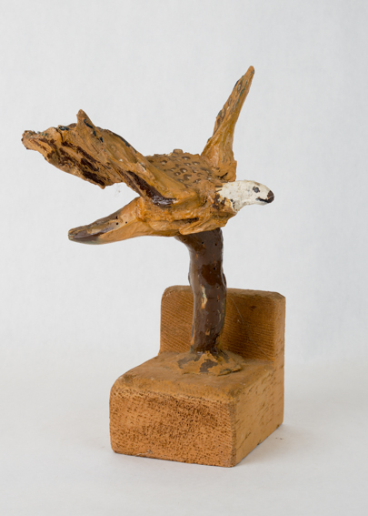 Small Flying Eagle